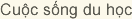Cu?c s?ng du h?c