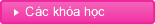Các khóa h?c